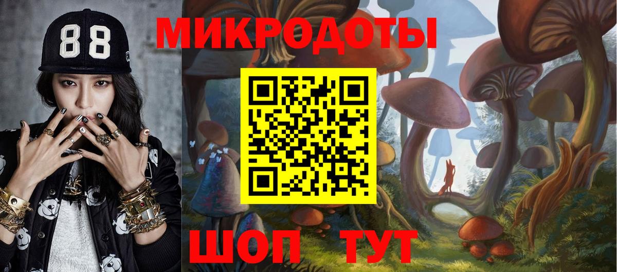 Псилоцибиновые грибы MAGIC MUSHROOMS  где найти   Вход с VPN  Рославль  Галлюциногенные грибы прущие грибы 